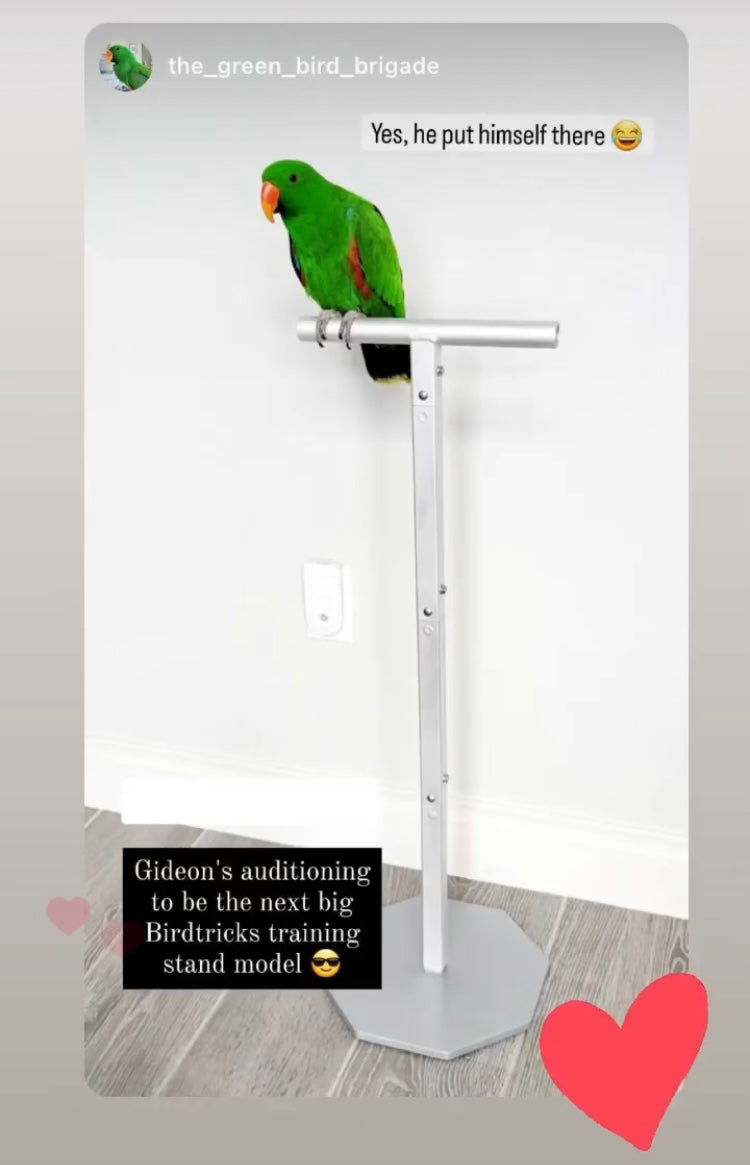 Training Stand