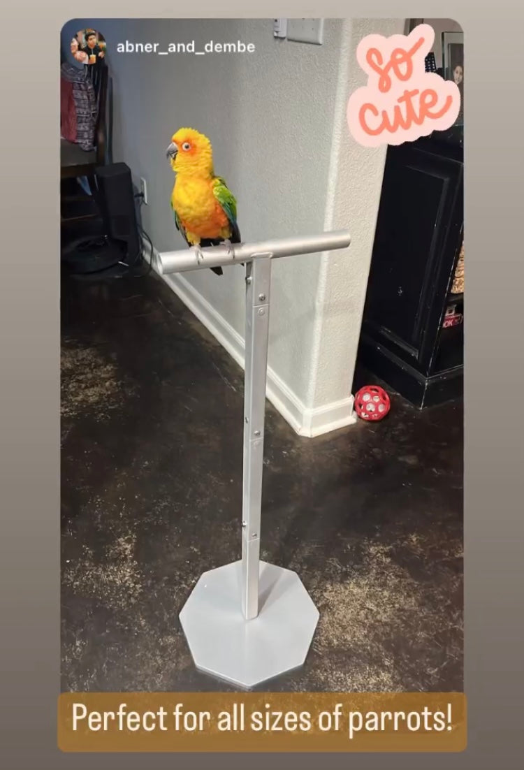Training Stand