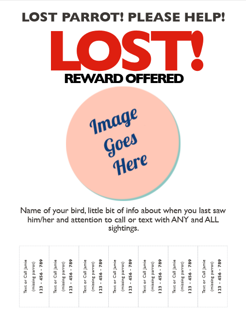 Recovering a Lost Bird Guide