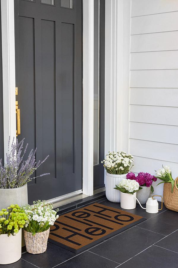 DM23_front_door