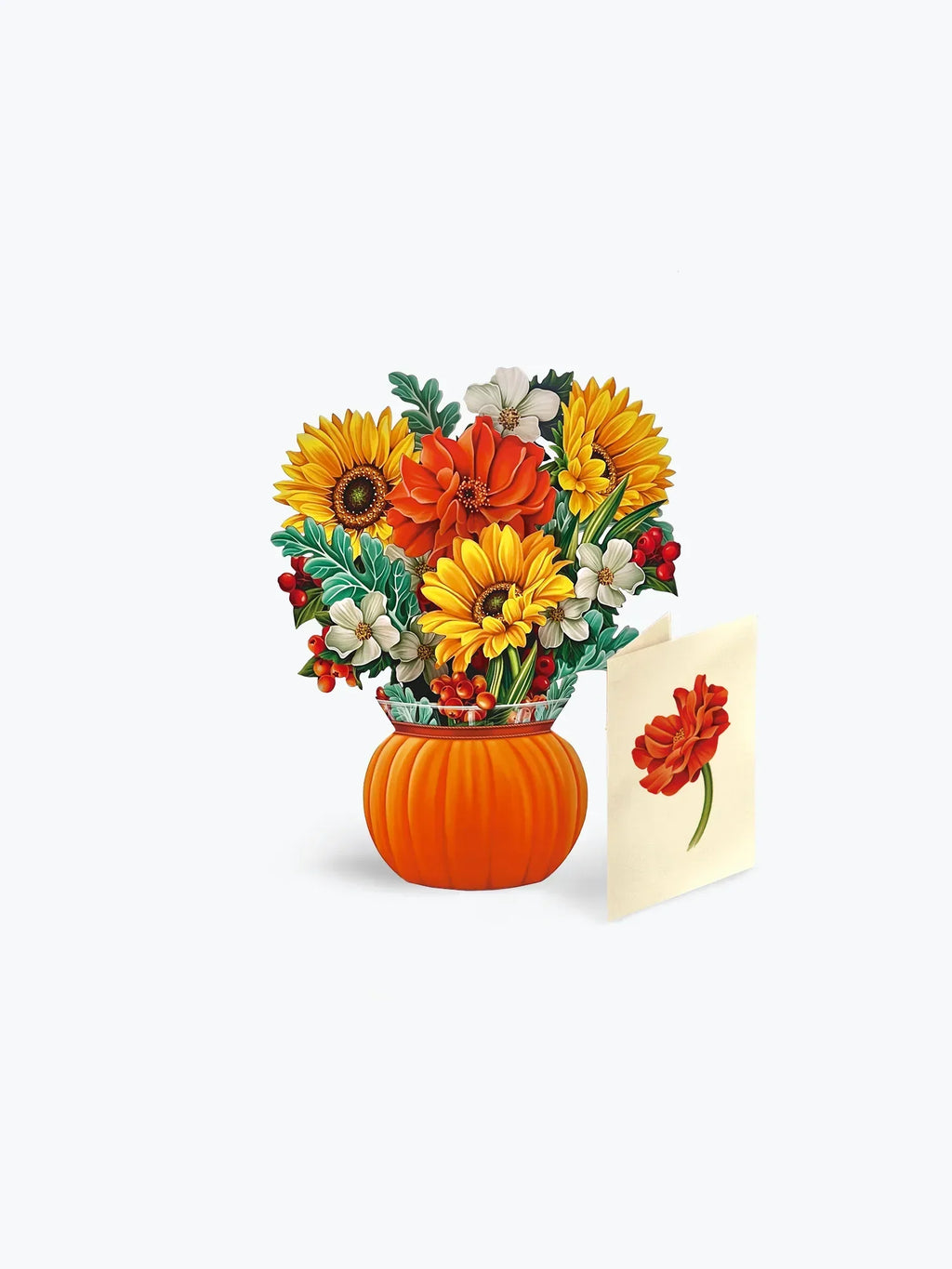 Mini Pumpkin Harvest