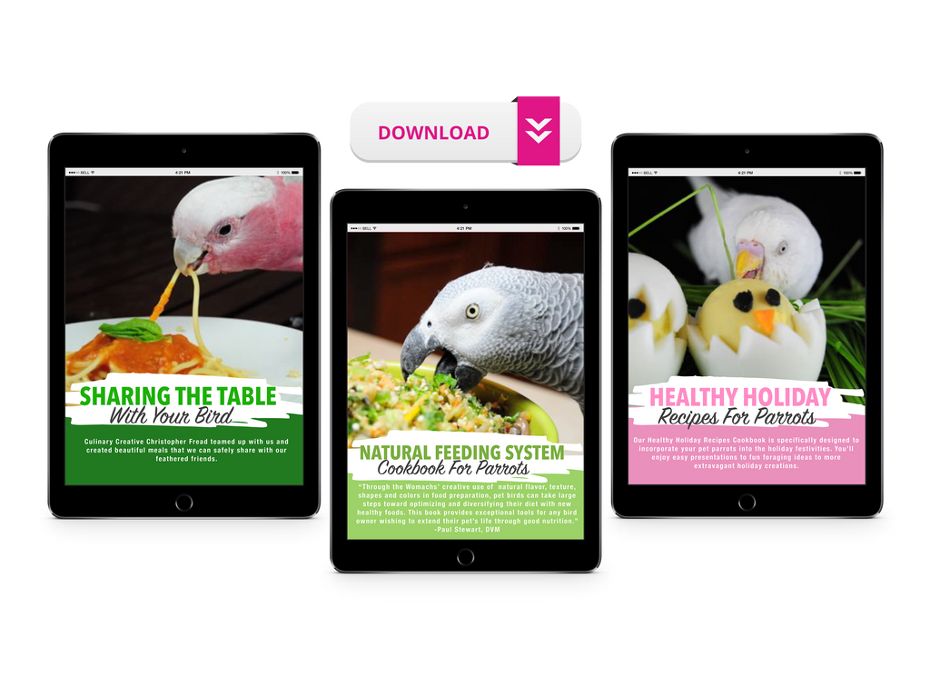 Natural Feeding System (Digital Download)