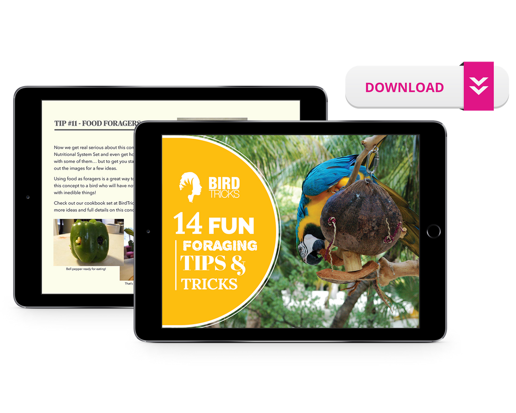 How to Forage: A Tips and Tricks Guide