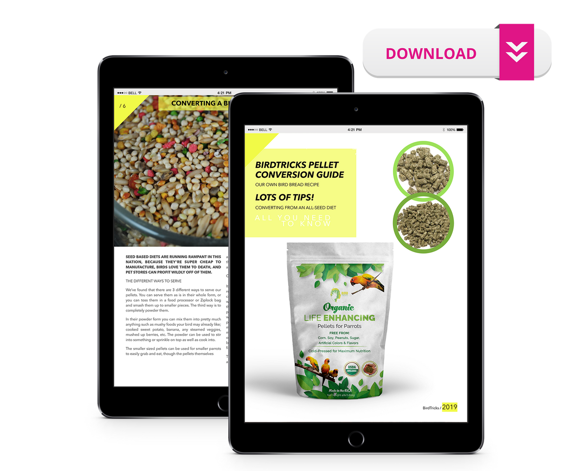 From Seeds to Pellets Conversion Guide