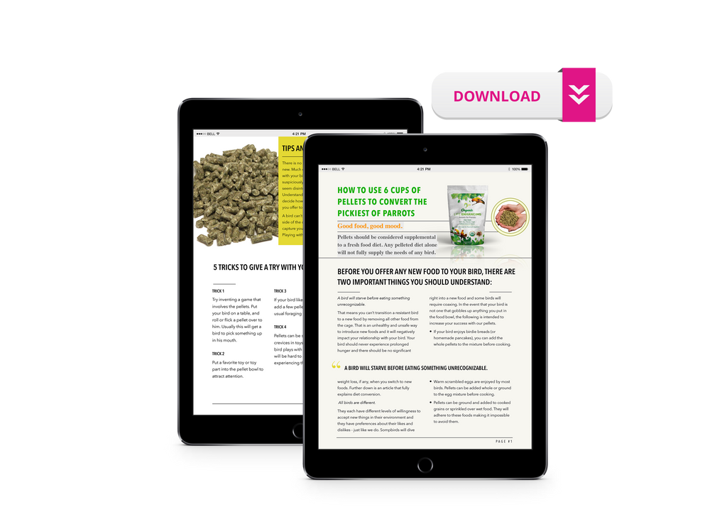 The Parrot Natural Nutrition Course