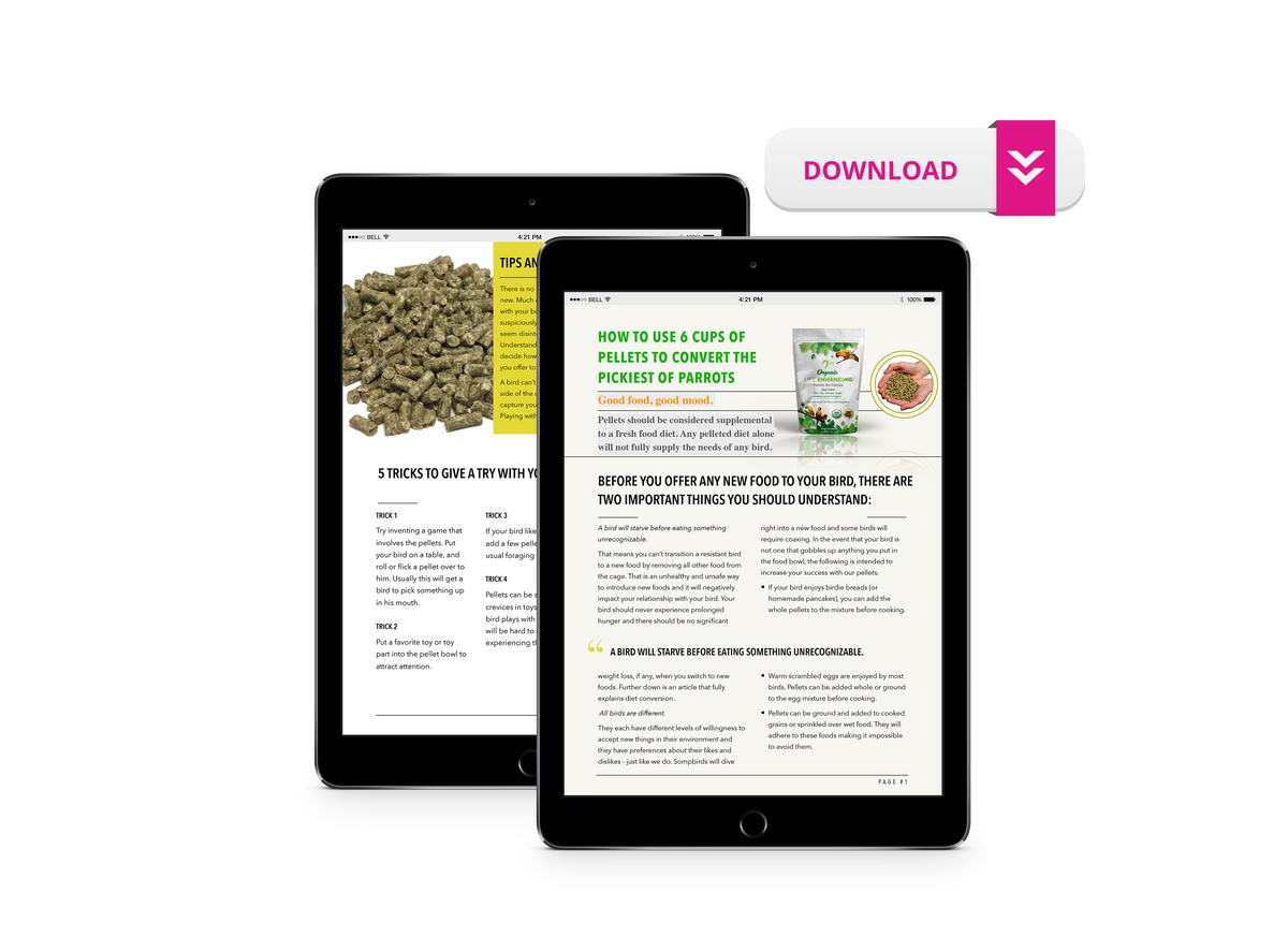 The Parrot Natural Nutrition Course