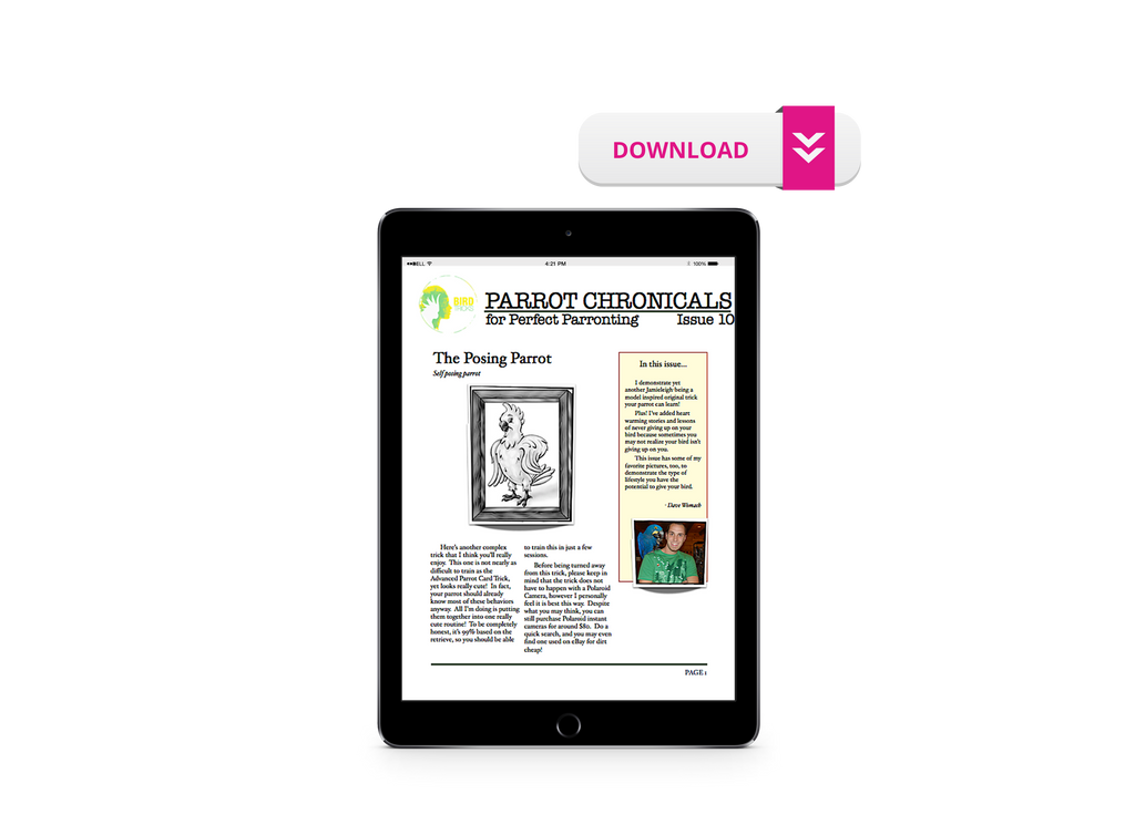 The Parrot Natural Nutrition Course