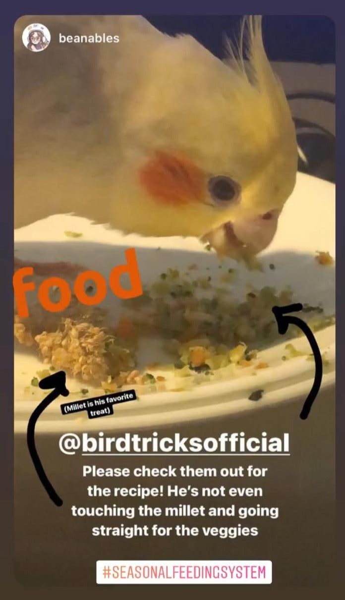 The Parrot Natural Nutrition Course