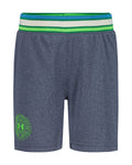 UA Court Mesh Little Boys' Shorts - Gray