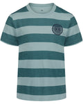 UA Printed Stripe Toddler Boys' Short Sleeve - Green