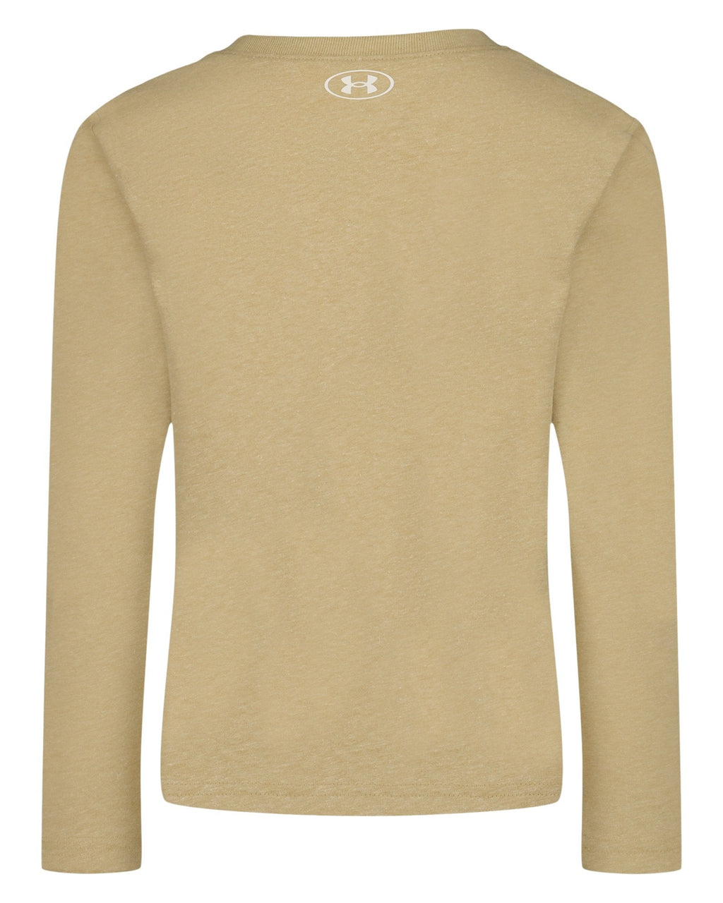 UA Varsity Logo Little Boys' Long Sleeve - Brown