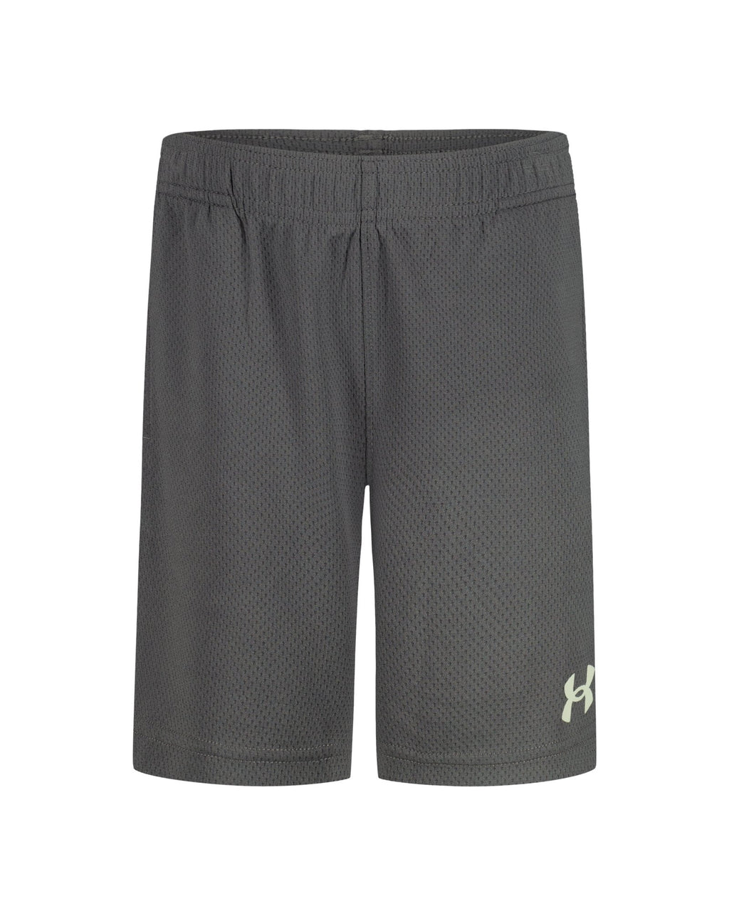 UA Tech™ Wordmark Toddler Boys' Shorts - Gray