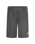 UA Tech™ Wordmark Toddler Boys' Shorts - Gray