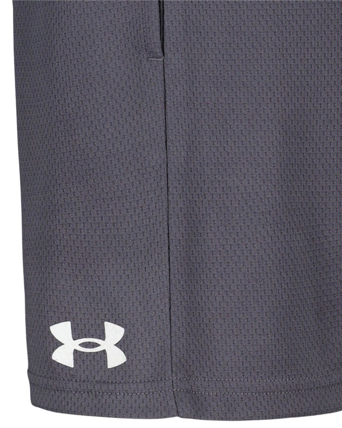 UA Tech™ Wordmark Toddler Boys' Shorts - Gray