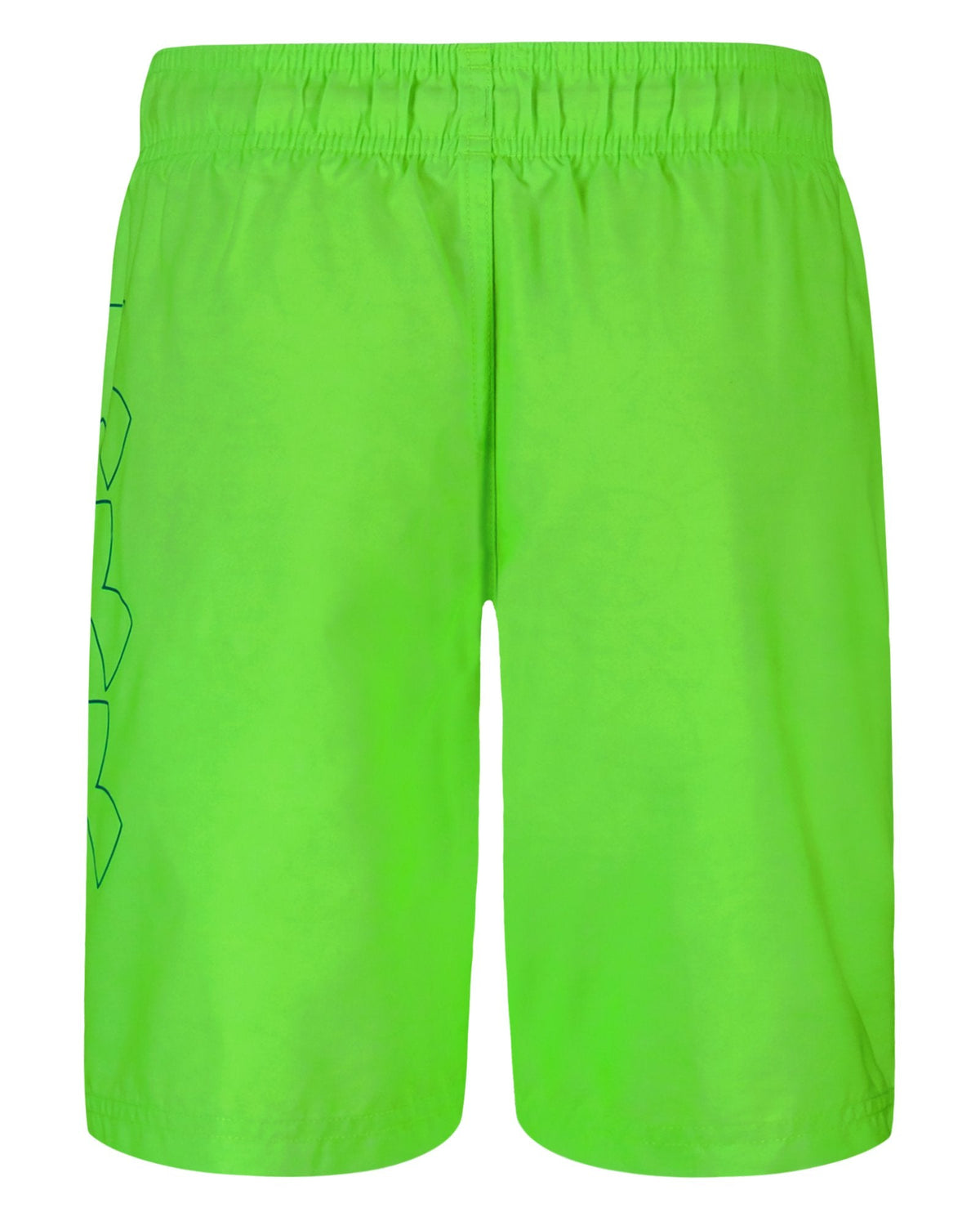 UA DWR Print Boys' Volley Shorts - Green