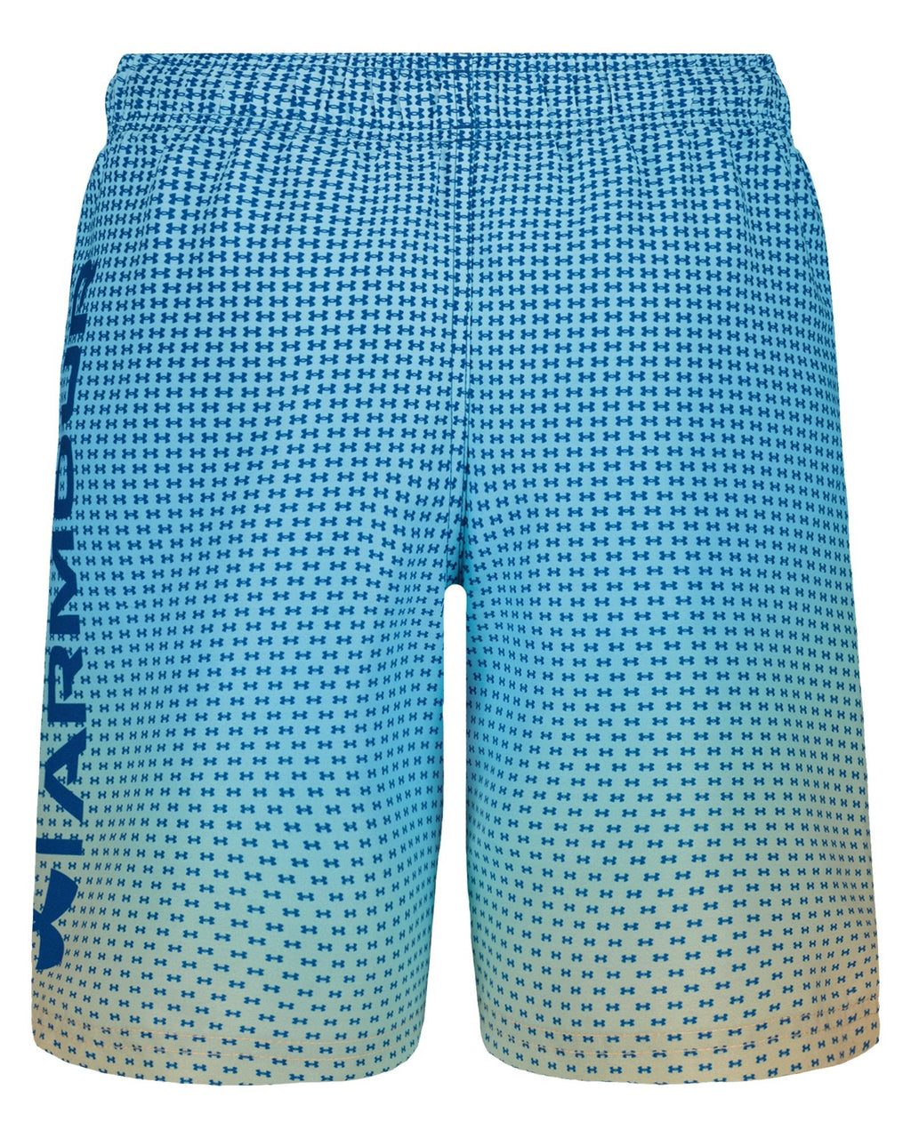UA Gradient Logo Volley Boys' Volley Shorts - Blue