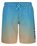 UA Gradient Logo Volley Boys' Volley Shorts - Blue