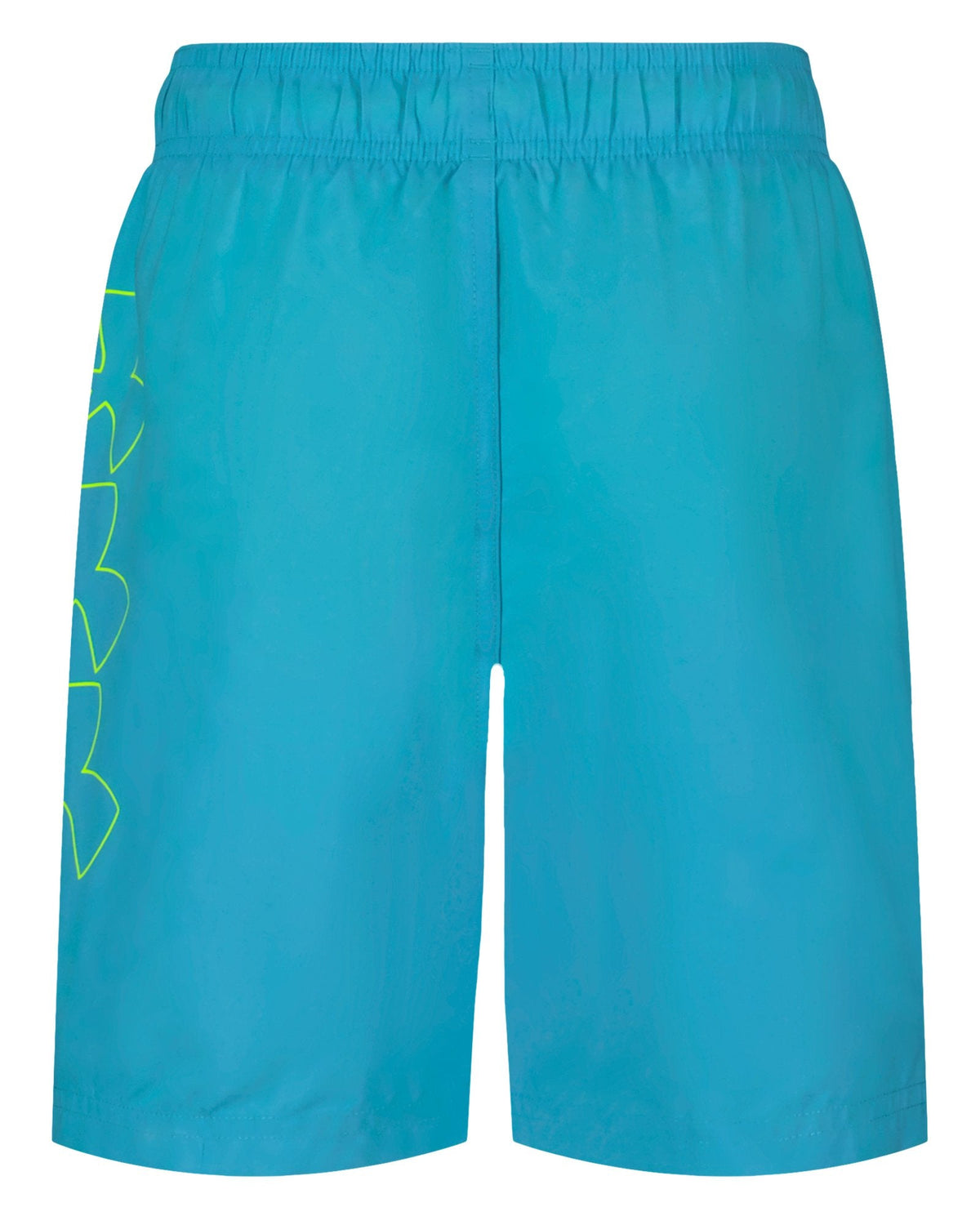 UA DWR Print Boys' Volley Shorts - Blue