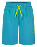 UA DWR Print Boys' Volley Shorts - Blue