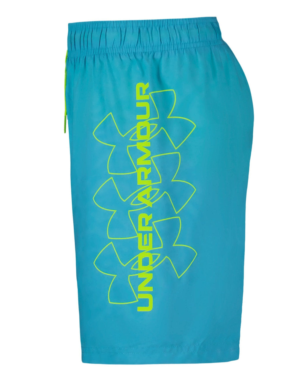 UA DWR Print Boys' Volley Shorts - Blue