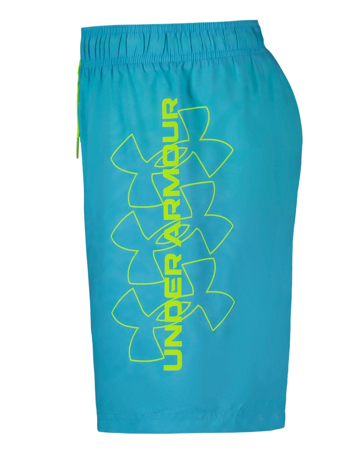 UA DWR Print Boys' Volley Shorts - Blue