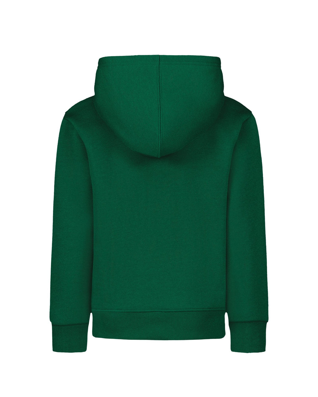 UA Chenille Logo Boys' Hoodie - Green