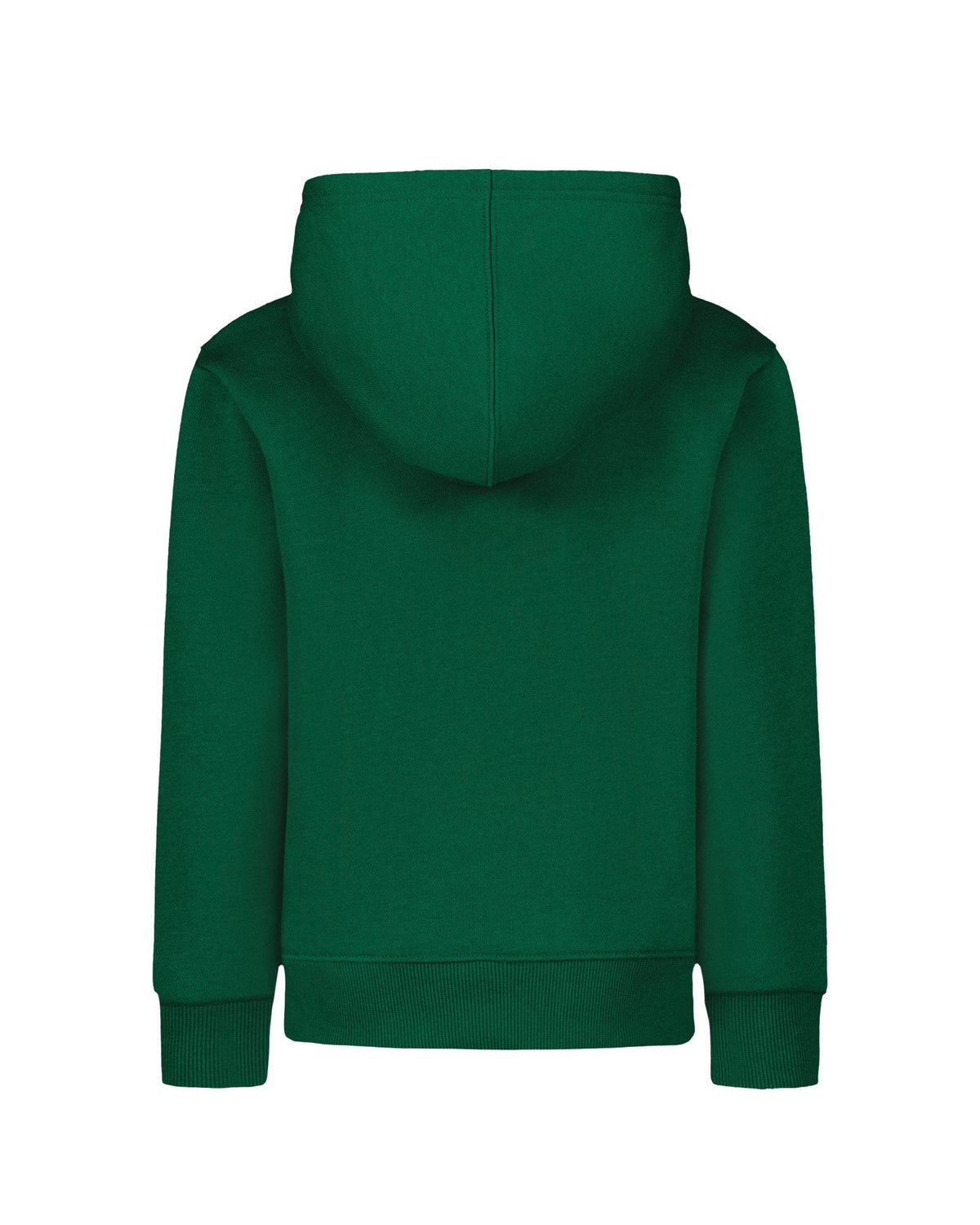 UA Chenille Logo Boys' Hoodie - Green