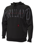 UA Icon Fleece Collegiate Men's Hoodie - Black