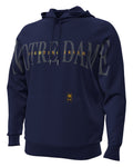 UA Icon Fleece Collegiate Men's Hoodie - Blue