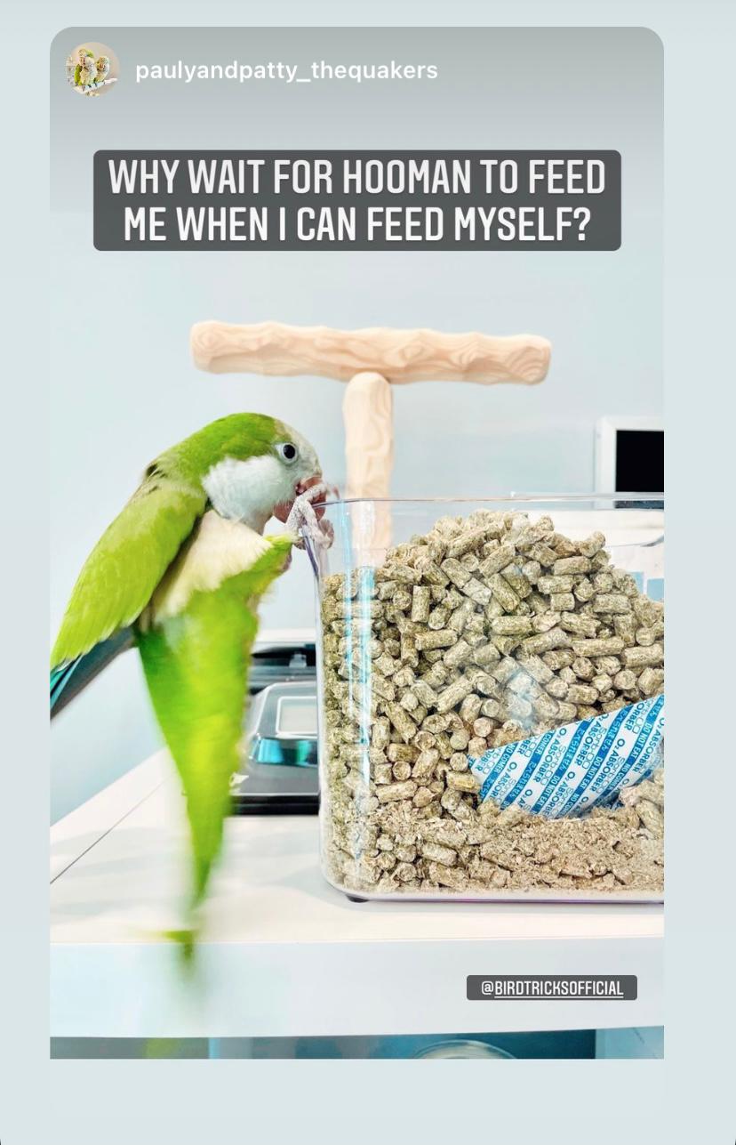 The Parrot Natural Nutrition Course