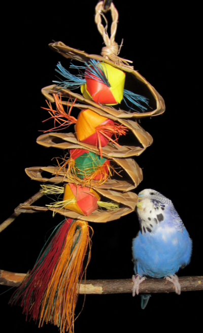 Premium All-Natural Parrot Toys (Bundle of 3)