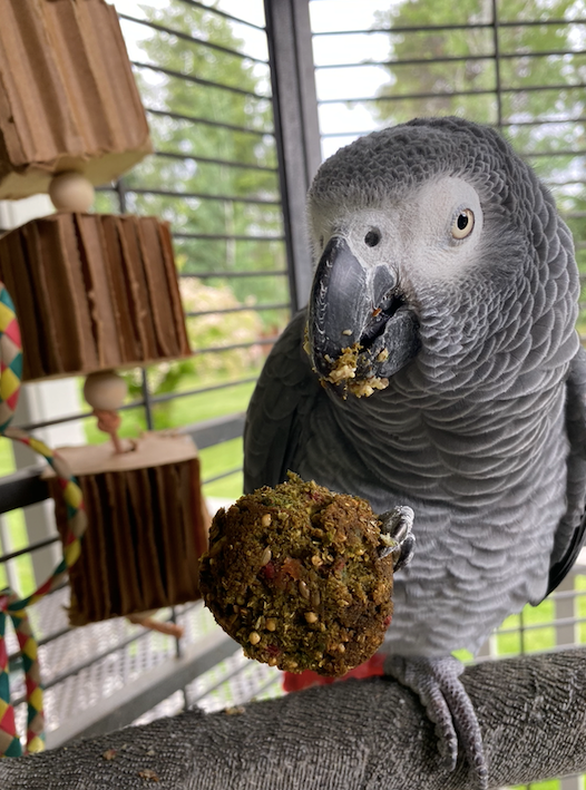 Organic Birdie Bread Bundles