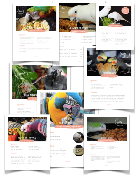 Natural Feeding System (Digital Download)