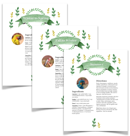 Natural Feeding System (Digital Download)