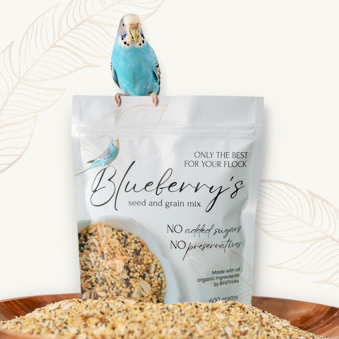 Blueberry's Seed & Grain Mix