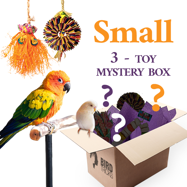 Premium All-Natural Parrot Toys (Bundle of 3)