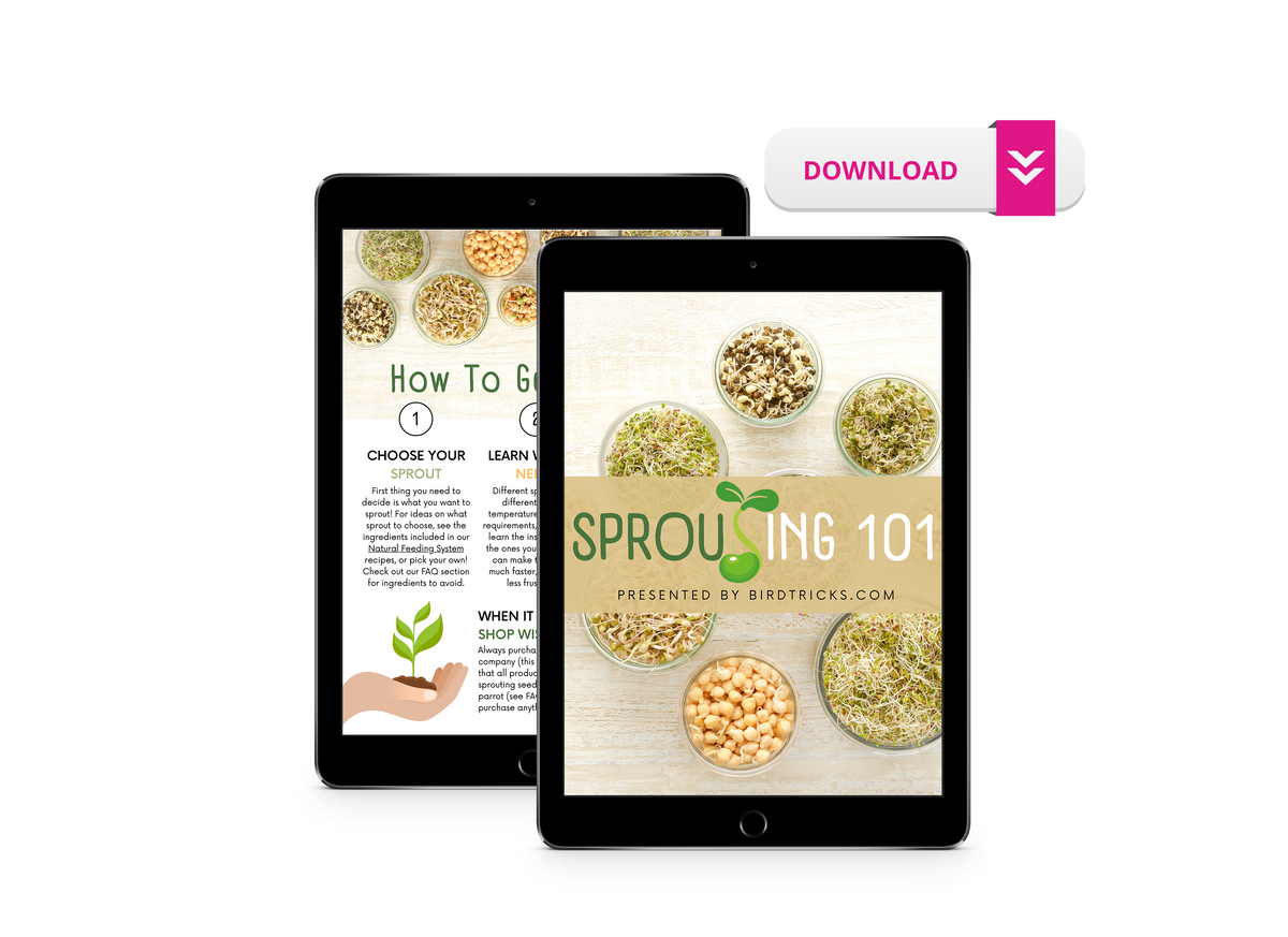 Sprouting 101