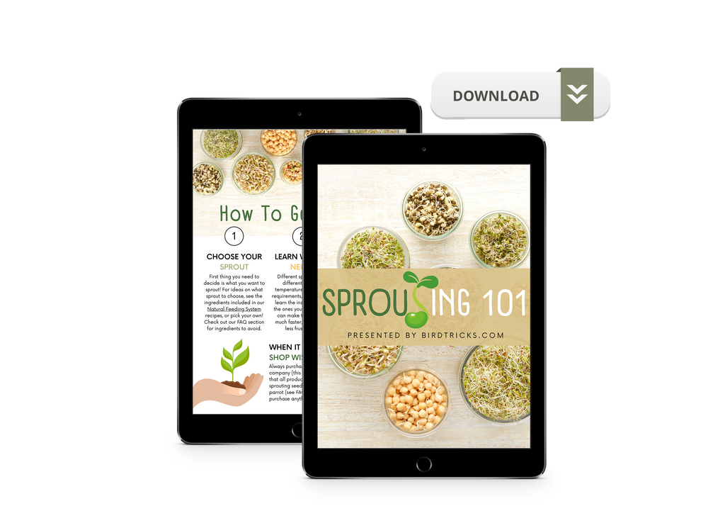 Sprouting 101