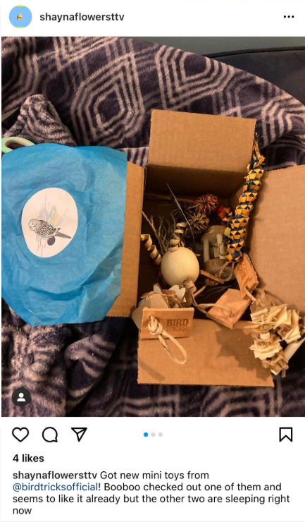 Tiny Toy Box (Bundle of 8)
