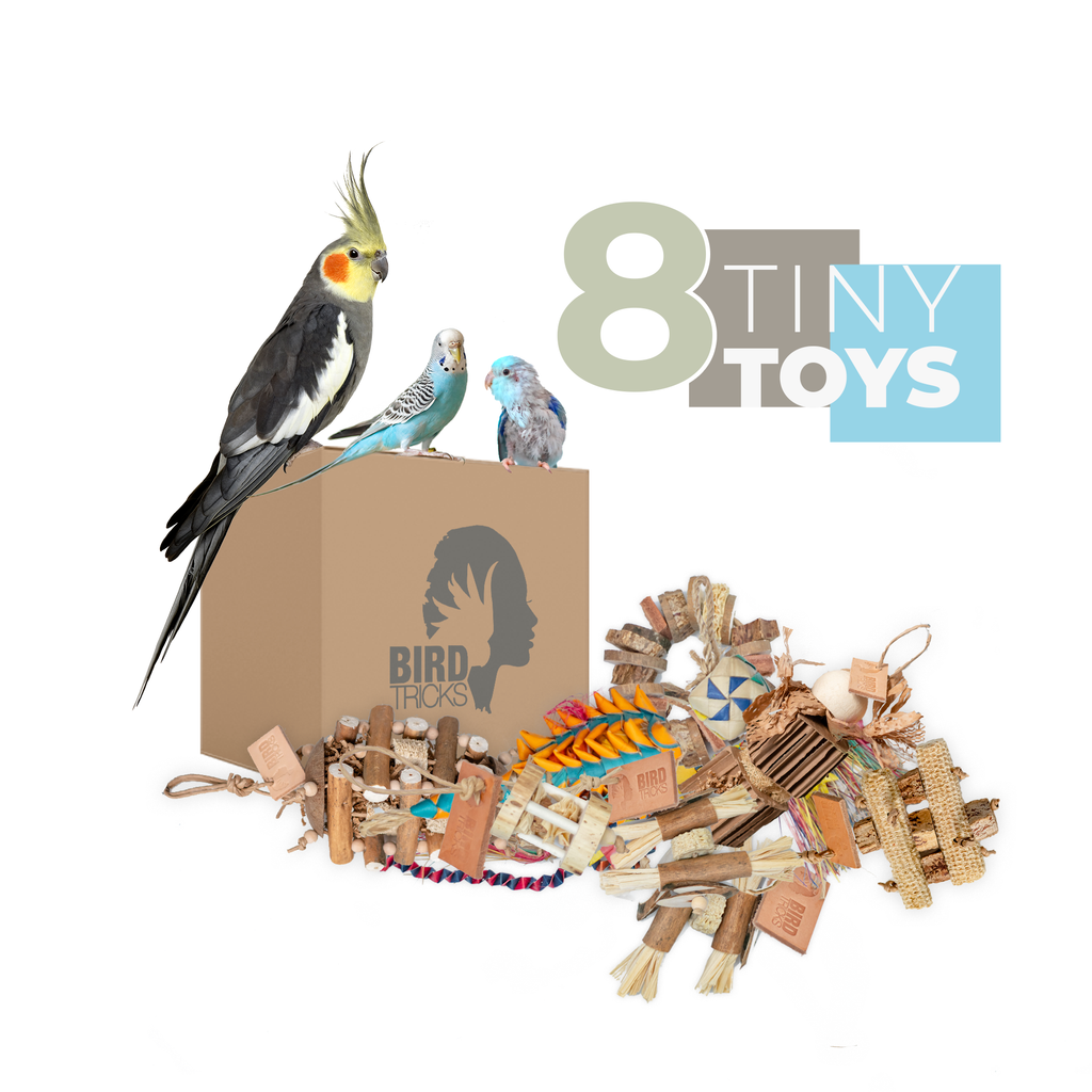 Tiny Toy Box (Bundle of 8)