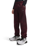 UA Icon Fleece Wash Print Gym Boys' Pants - Red