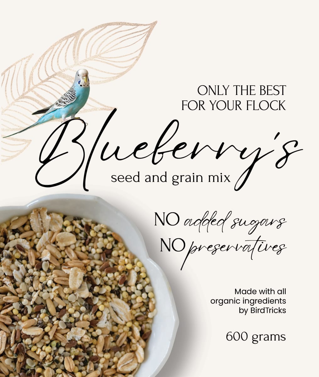 Blueberry's Seed & Grain Mix