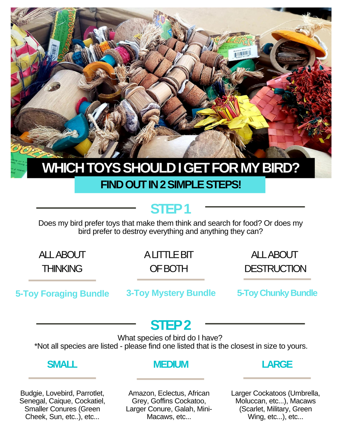 Foraging Toy Box (Bundle of 5)