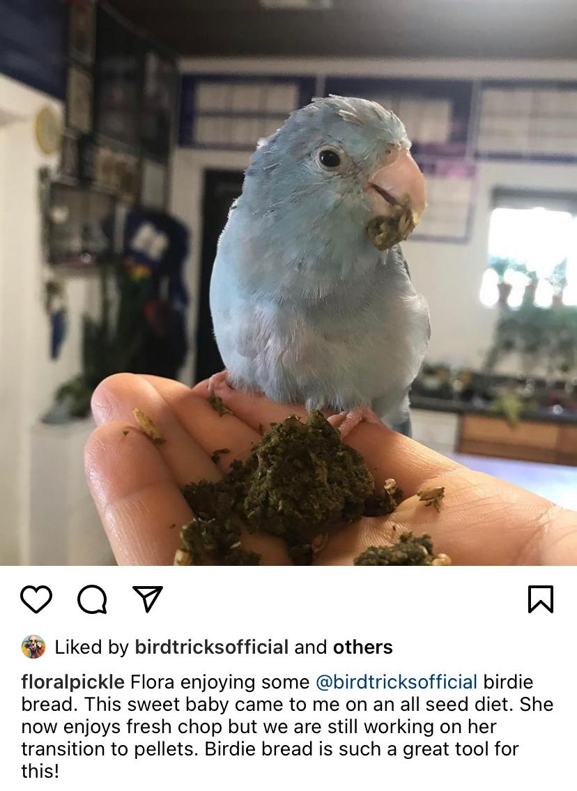 Organic Birdie Bread Bundles
