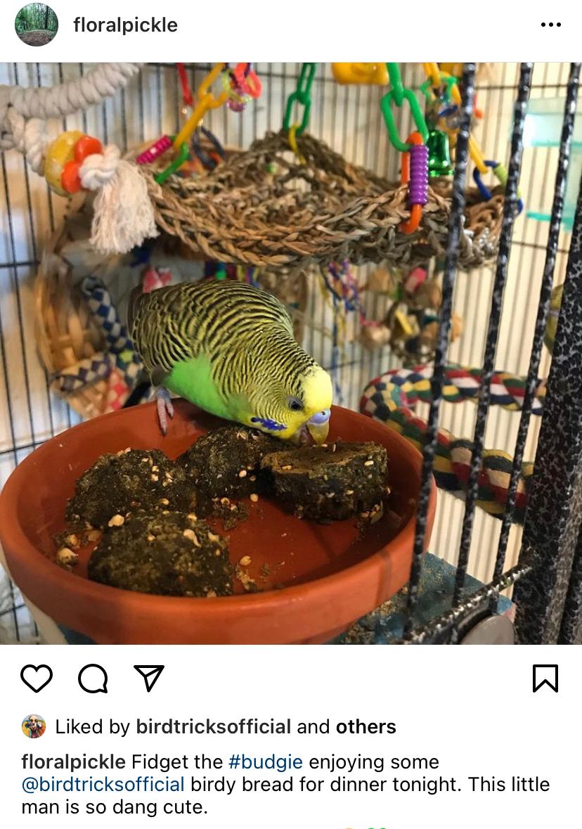 Organic Birdie Bread Bundles