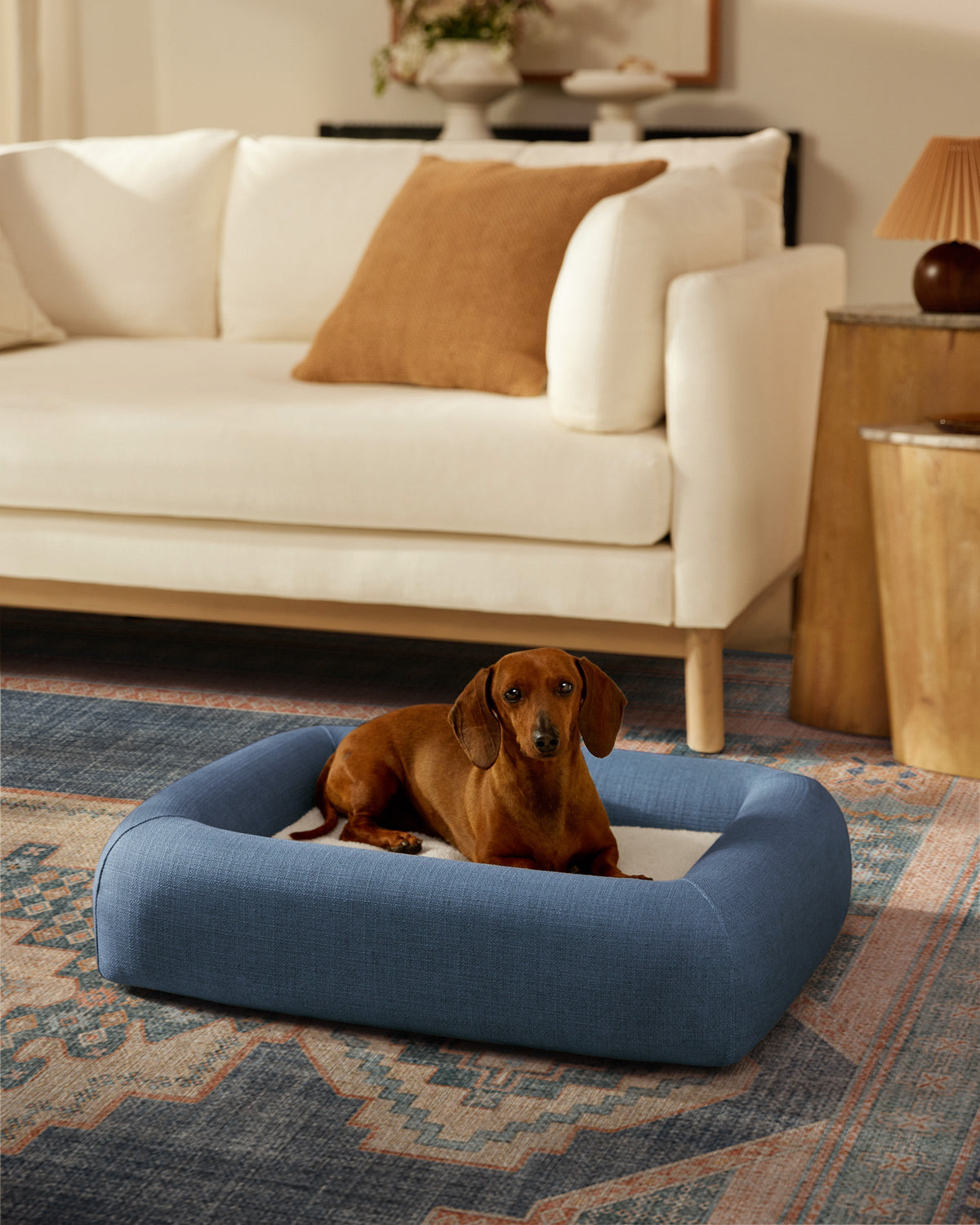 pet_bed_small