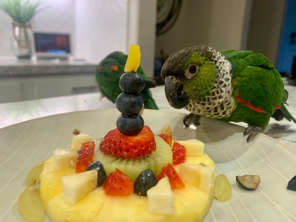 The Parrot Natural Nutrition Course
