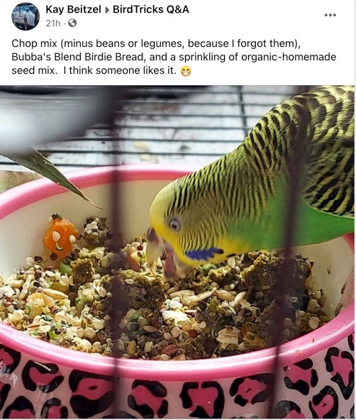 The Parrot Natural Nutrition Course