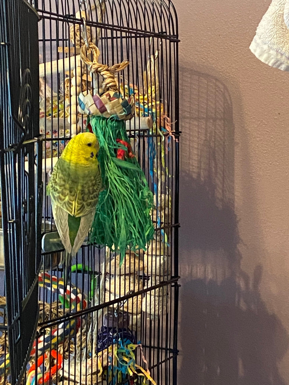 Premium All-Natural Parrot Toys (Bundle of 3)