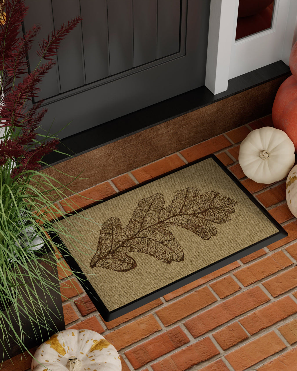 DM23_front_door